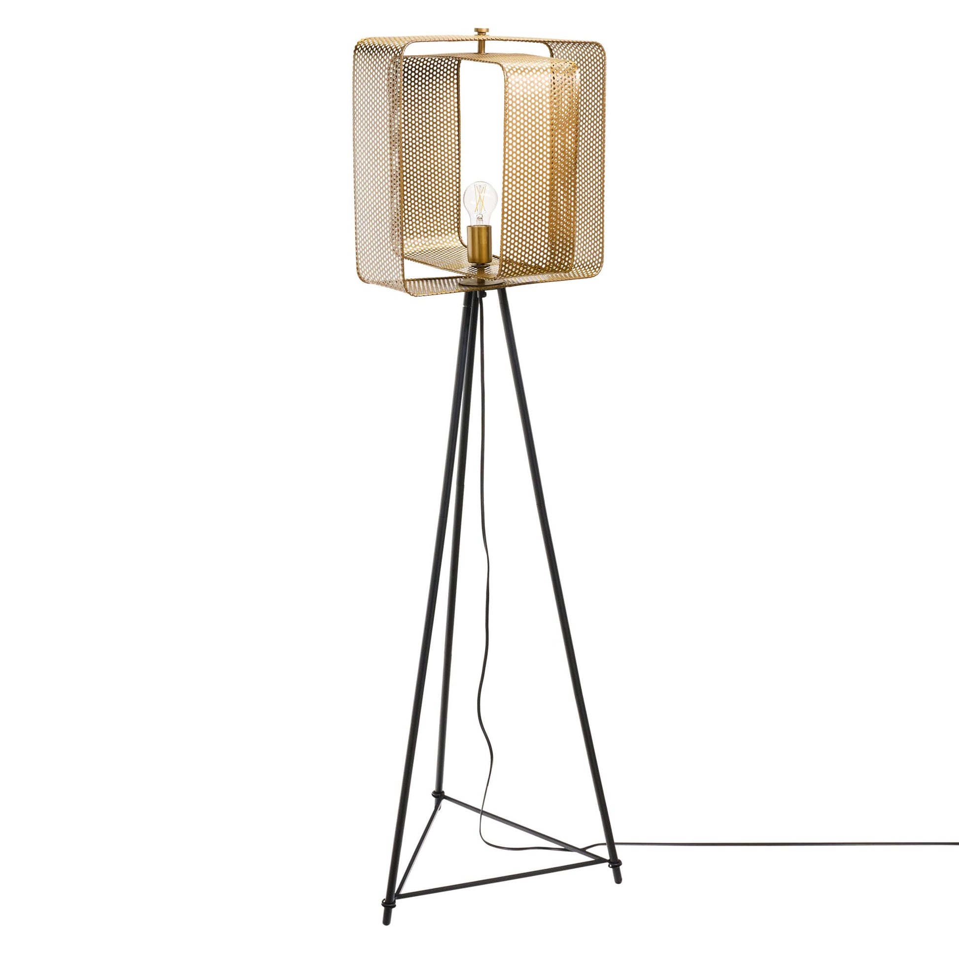 Gold/ Black-