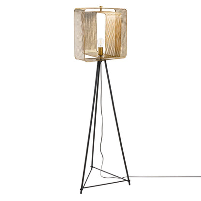 Gold/ Black-
