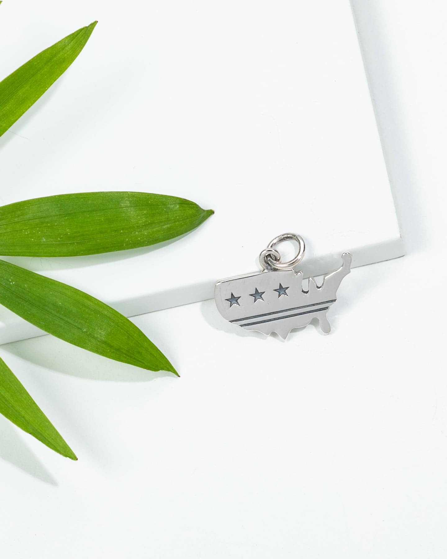 Sterling Silver-