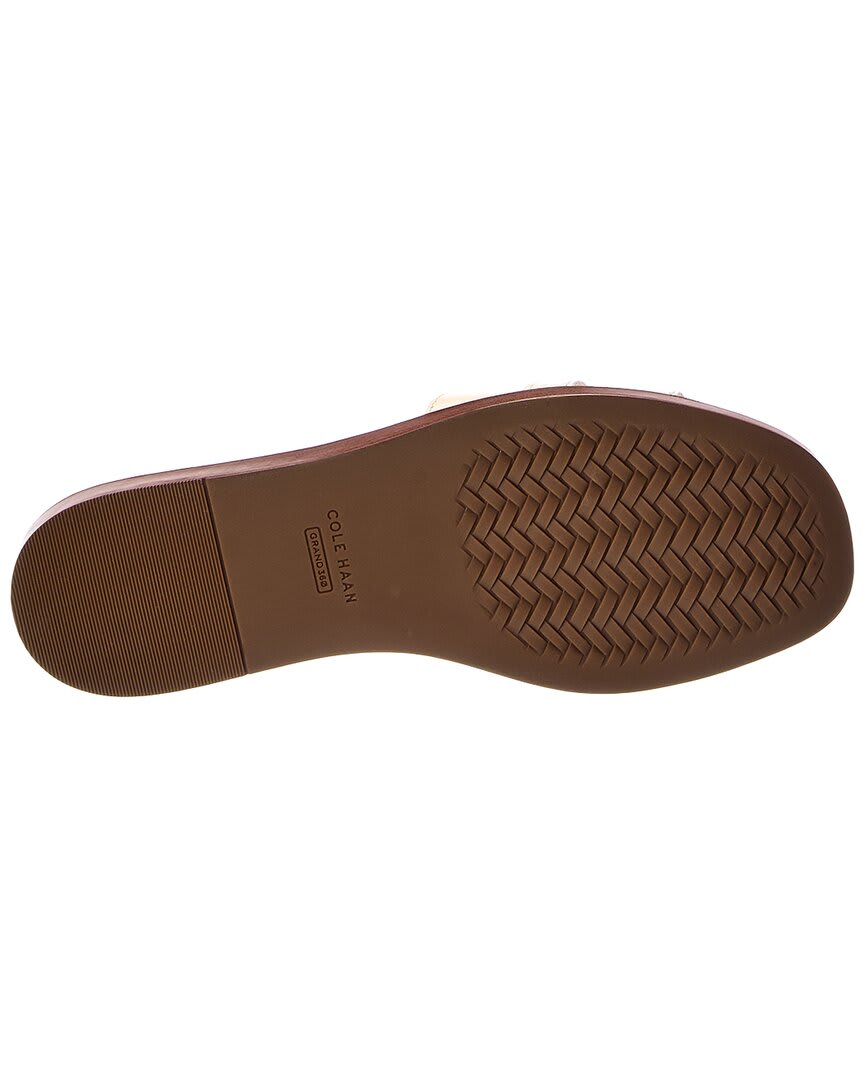 CH POWDER SMOOTH / CROC PRINT-