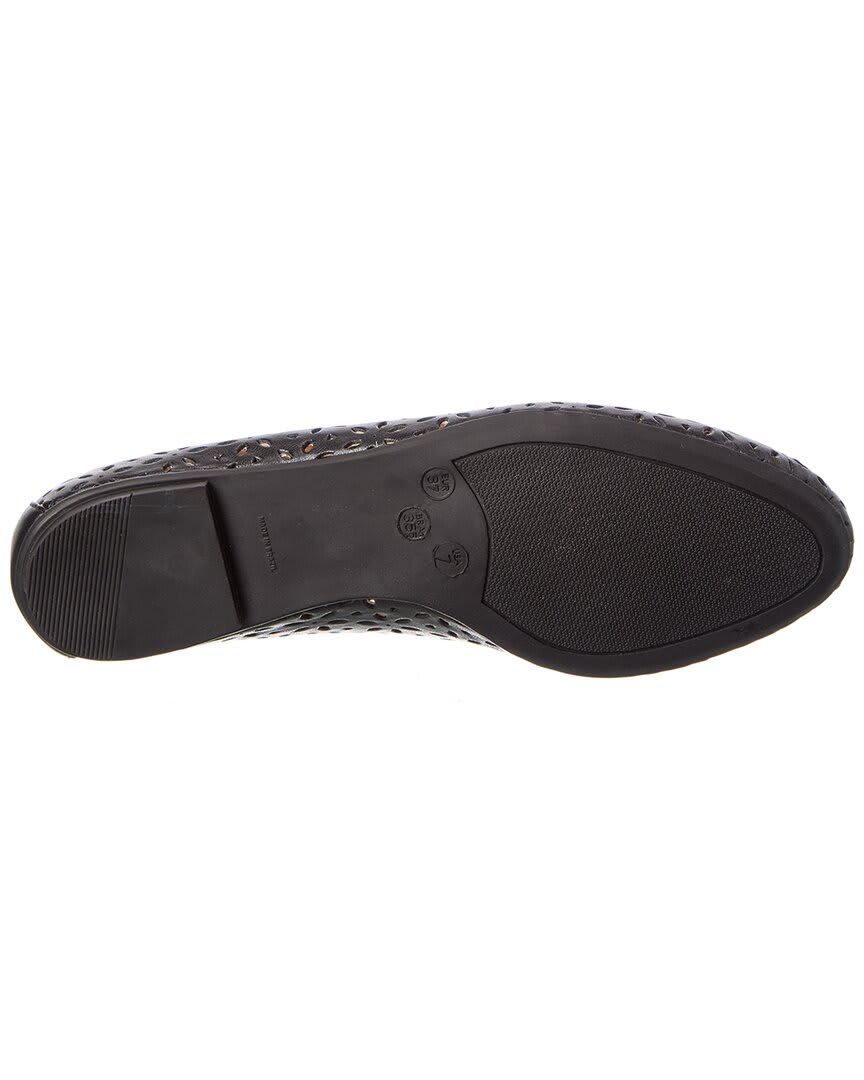 Black-