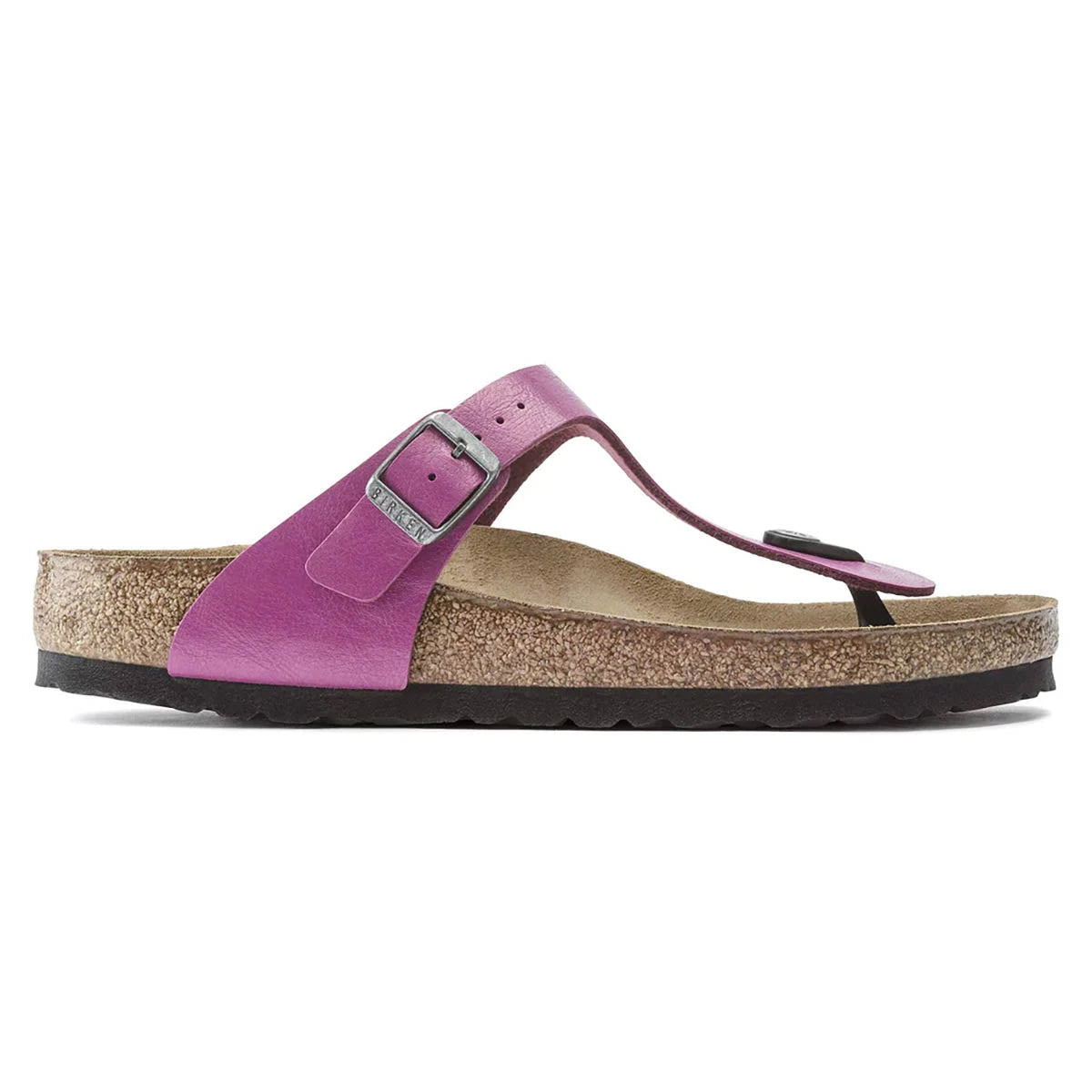 Magenta Haze-