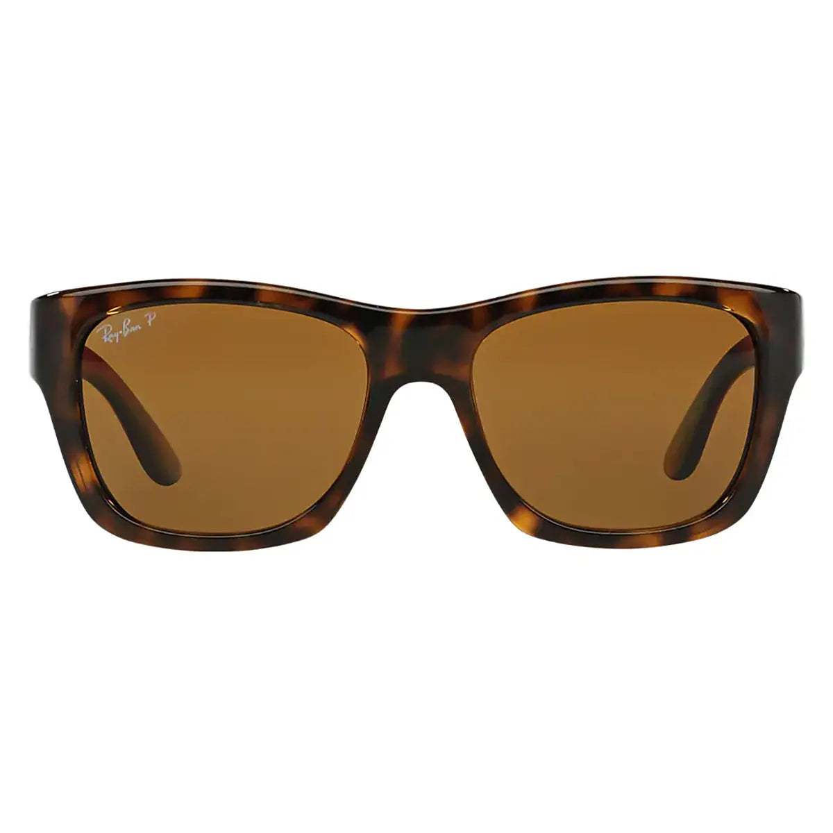 Havana / Polarized Brown-