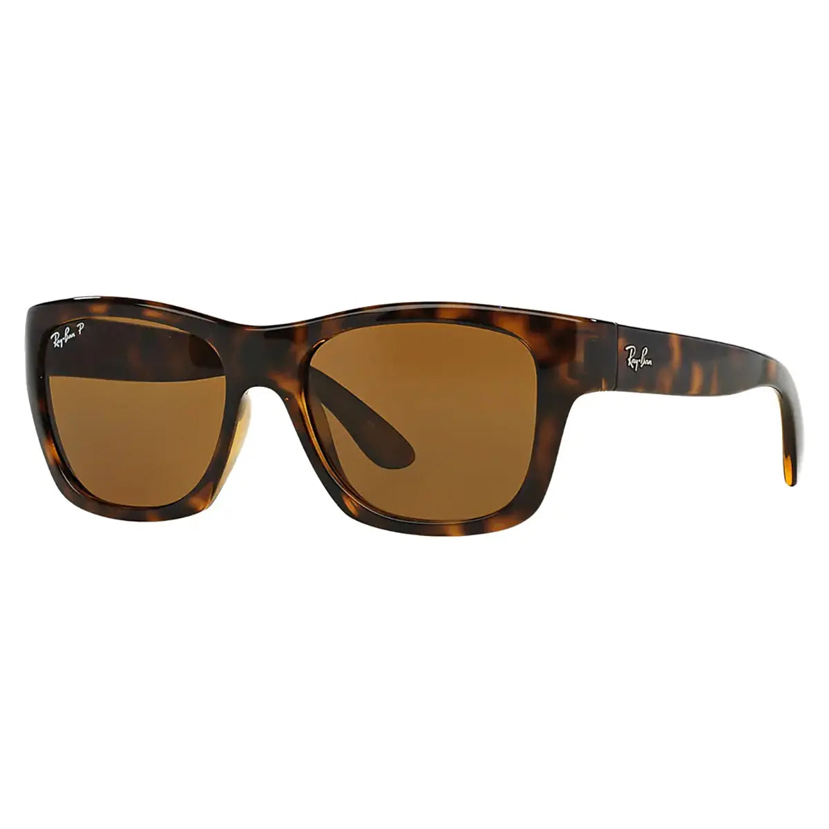Havana / Polarized Brown-