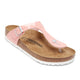 Coral Peach