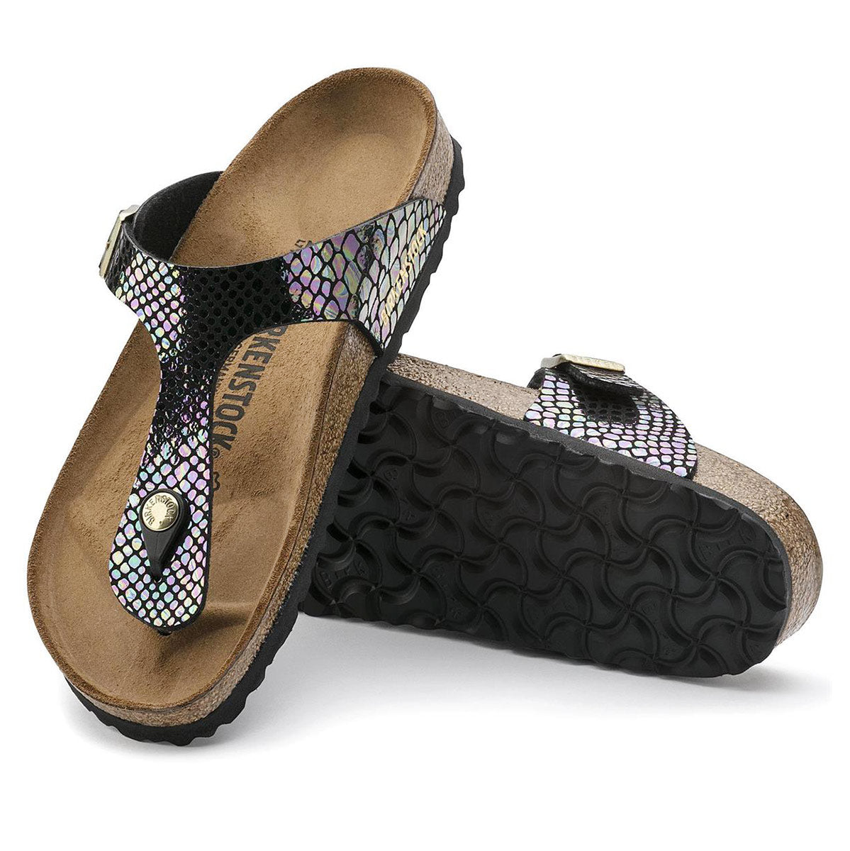 Black Multi Snake-