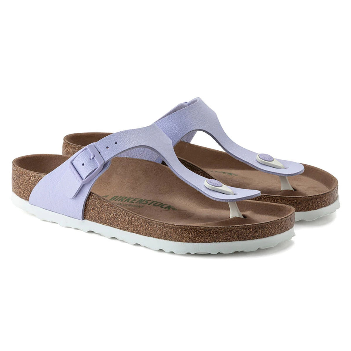 Lavender Fog-