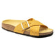 Ochre