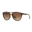 Rubber Havana / Brown Gradient Dark Brown