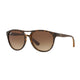Rubber Havana / Brown Gradient Dark Brown