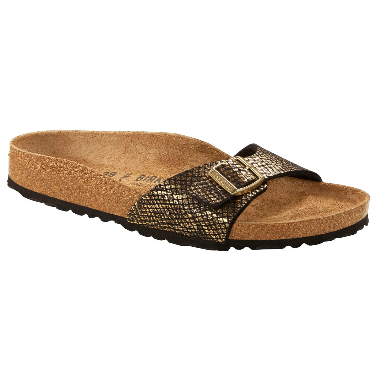 Black Python-