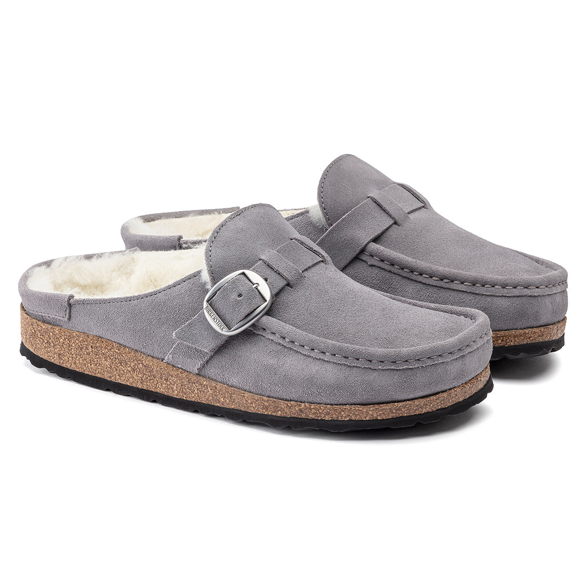 Whale Gray-