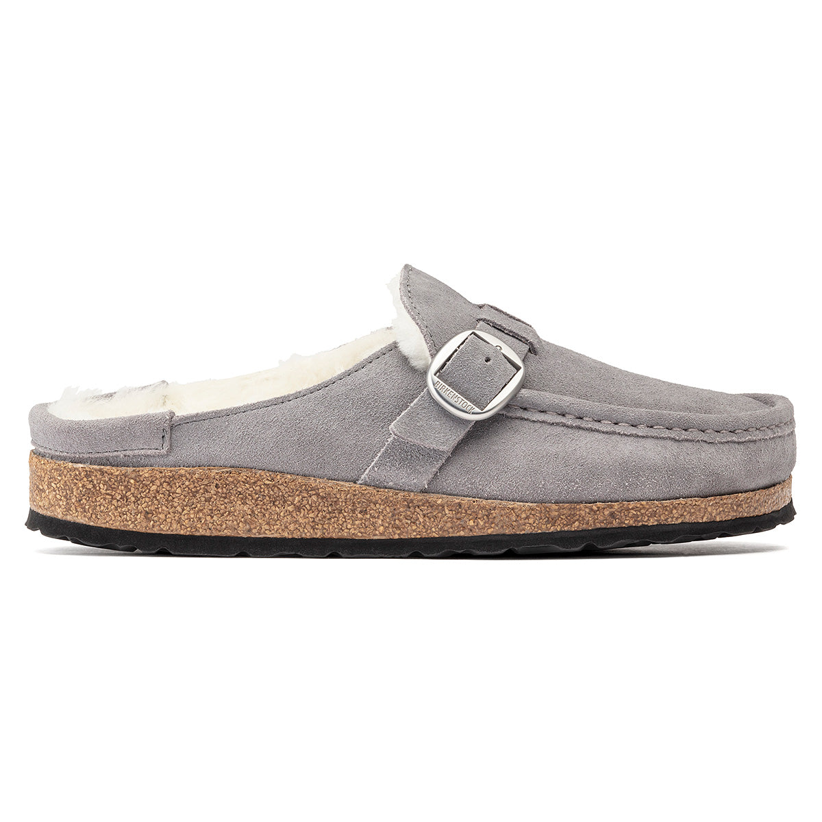 Whale Gray-