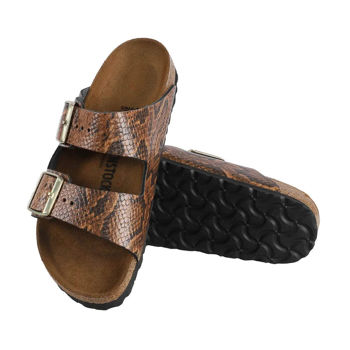 Snake Brown-